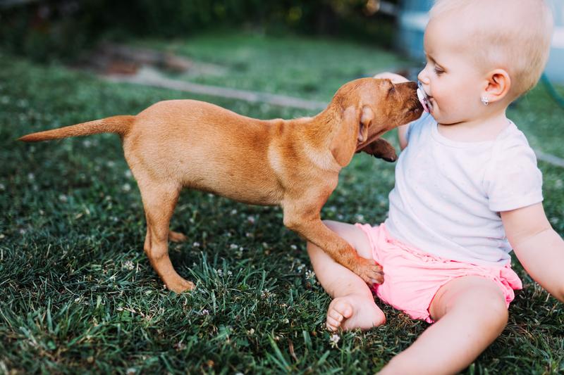 Badass Dog Names