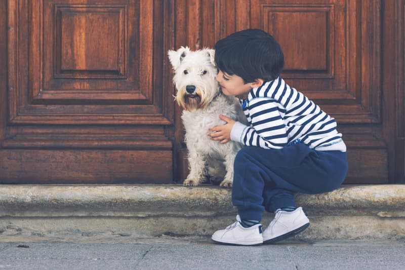 Happy Names for Pets