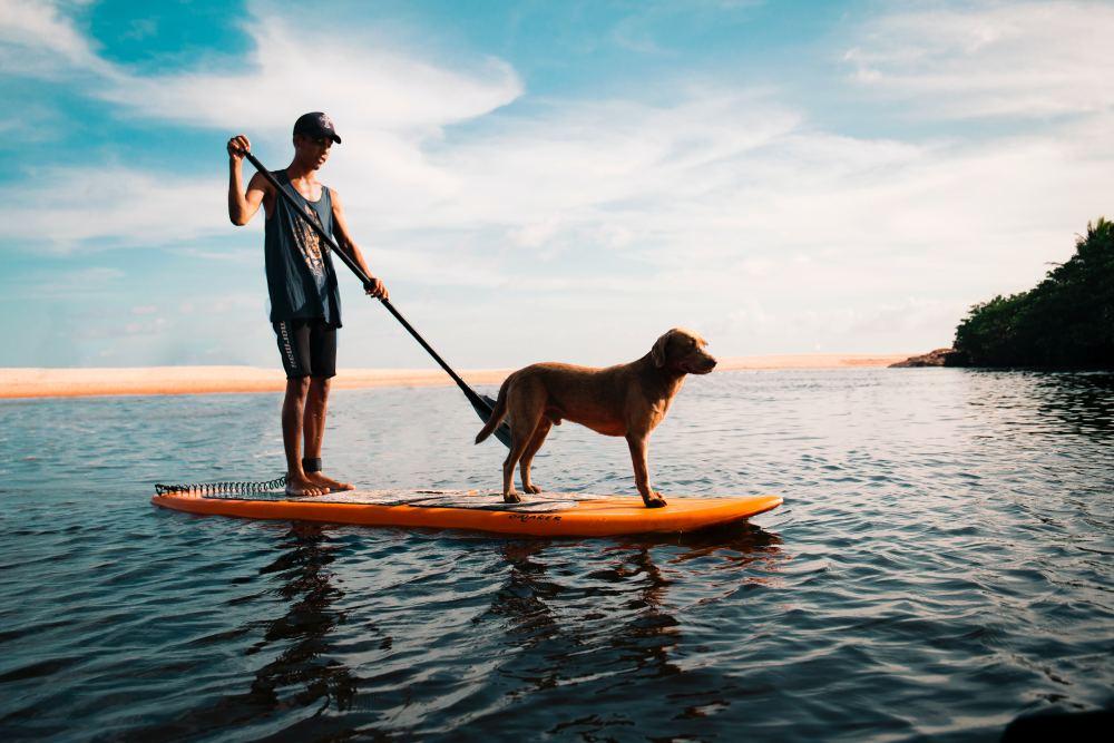 Hawaiian Dog Names