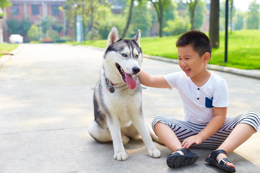 Husky Names