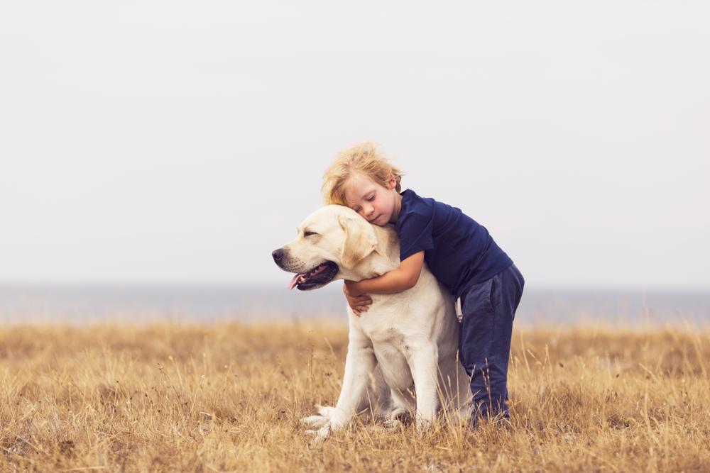 Labrador Retriever Names